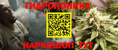 дживик Сланцы